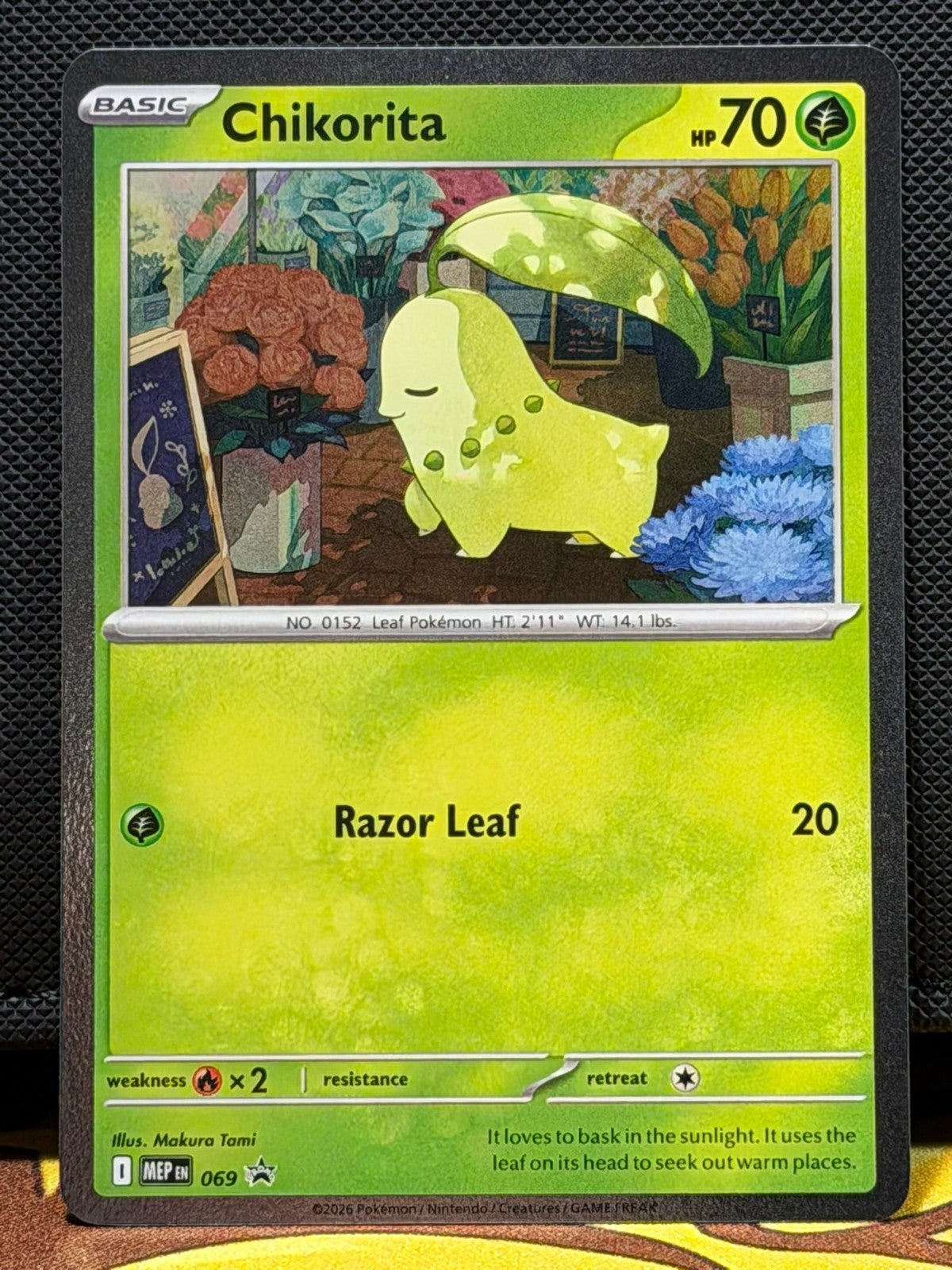 Chikorita - MEP069 - Black Star Promo